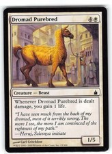 Dromad Purebred *Common* Magic MtG x1 Ravnica SP
