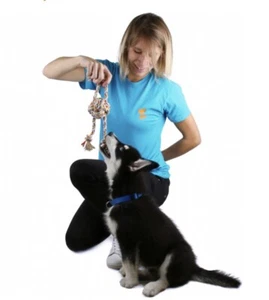 Corda Giochi per Cani, Giocattoli di Corda Cane, Giochi Per Animali - Foto 1 di 3