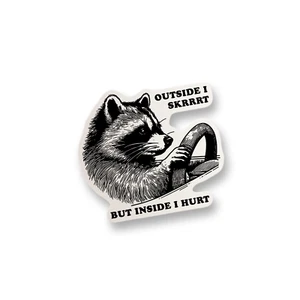 Outside I Skrrrt Inside I Hurt Vinyl Funny Sticker Decal Water Bottle Decal - Picture 1 of 2