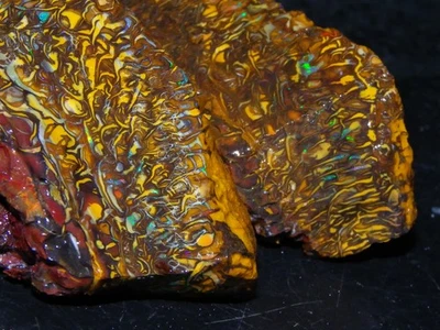 Nice rebanadas Koroit ópalo tuerca/par áspero 423 cts gran patrón/fuegos Queensland Au Foto 1 de 4