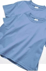 Gildan 2 Kids Youth Ultra Cotton Small Shirts Carolina Blue Great for Crafts DIY - Picture 1 of 1