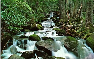 fountain streams in Great Smoky Mountains Park Tennessee Chrome Postcard F3 - Picture 1 of 2