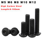 M5 M6 M8 M10 M12 śruby z łbem soczewkowym sześciokątne czarne śruby stalowe