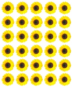 Girasol x 30 Cupcakes Toppers Comestibles Papel Oblea Hadas Pastel Toppers - Imagen 1 de 3