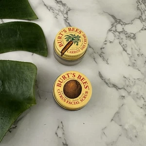 Burts Bees Citrus Facial Scrub Carrot Day Cream Mini Jars .25 oz Lot - Picture 1 of 3