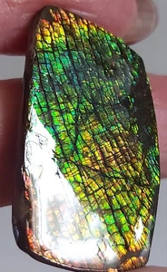 Ammolite Ammonite Coated Stone 34x20.7x4.7mm 18256 - Picture 1 of 6