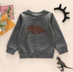 Dinosaur Boys Sweatshirt Size 3-4 - Picture 1 of 1