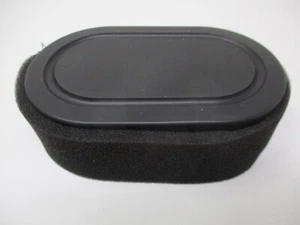 Für Briggs & Stratton 593260 Luftfilter 593260 798452 550e-550EX mit Vorfilter - Bild 1 von 5