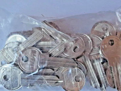 50 X RI2- Canas/RIELDA RS1 Key Blanks /For RIELDA RS1 Locks - Image 1 of 4