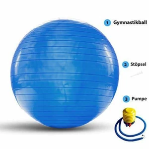 LOMOS Pelota de Gimnasia Profesional incl. Bomba de Aire 75 cm Azul - Imagen 1 de 5