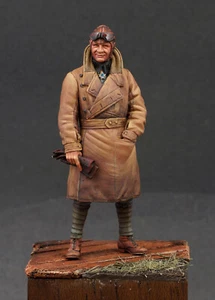 The Black Knight of Germany WWI German Flying Ace Eduard Ritter von Schleich - Picture 1 of 4