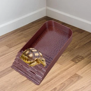 Schildkröten-Futternapf, Reptiliennapf für Bartagamen und - Bild 1 von 7