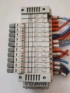 SMC (2) VVQ1000-10A-1, (2) VQ1101-51, (8) VQ1301-51 & Manifold Assembly - Picture 1 of 4