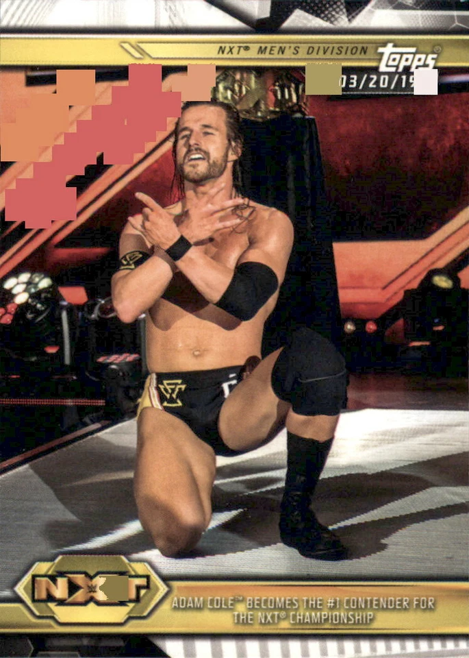 2019 WWE Topps NXT Pick Your Base or Roster Card Buy 5 Get Free Shipping - Image 1 of 1