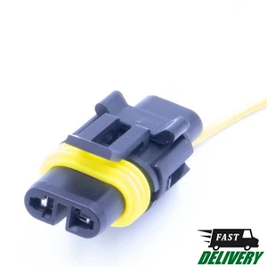Connector for APTIV (Delphi). Female. 2-PIN. 12020599 - Imagen 1 de 5