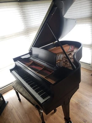 Piano de cola Steinway L 5'10 1/2" ébano satinado Foto 1 de 2