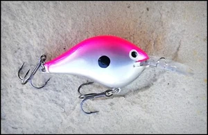 ESCHE DA PESCA RAPALA DIVES TO DT 6 PCH (Rosa Cromo) colore DIPINTE SU MISURA - Foto 1 di 1