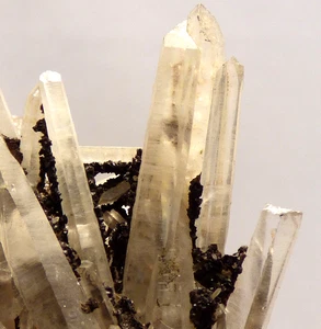 Clear Quartz Crystals with Siderite Mineral Specimen Huanzala Mine Peru 5.5cm - Picture 1 of 13