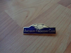 VINTAGE AMESBURY FRIENDSHIP CLUB ENAMEL PIN BADGE - Picture 1 of 2