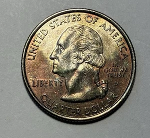 2001 D Quarter New York “Head Above Water” Ed. OOAK - Picture 1 of 2