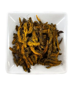 Coptis Wurzelscheiben Coptis chinensis Huang Lian Rhizom, Goldgewinde, Berberin - Bild 1 von 2