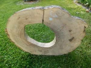 Baumscheibe Astscheibe Holzscheibe Esche für Epoxidharz 43 cm D mit Loch - Bild 1 von 4