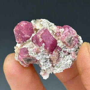 Granat, Sierra de Cruces, Sierra Mojada Municipality, Coahuila, Mexiko - Bild 1 von 3