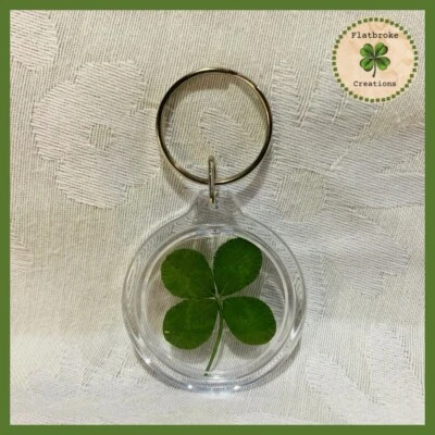 Брелок на удачу брелок с настоящим четырехлистным клевером брелок трилистник - Изображение 1 из 4