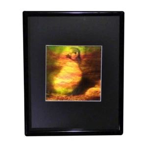 Imagen de holograma de patito 3D enmarcada, película coleccionable tipo relieve - Imagen 1 de 7