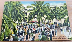 Vintage 1930's Tichnor Brothers Inc. Postcard-Leaving The Paddock Tropical Park - Picture 1 of 3