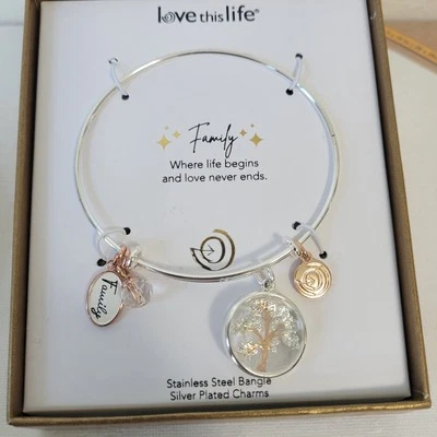 Brazalete Brazalete Love This Life “Family” Plata con Dijes Chapados en Oro Plateado Nuevo Foto 1 de 4