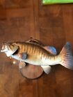 Smallmouth Bass Freshwater Taxidermy Fish Mount For Sale 