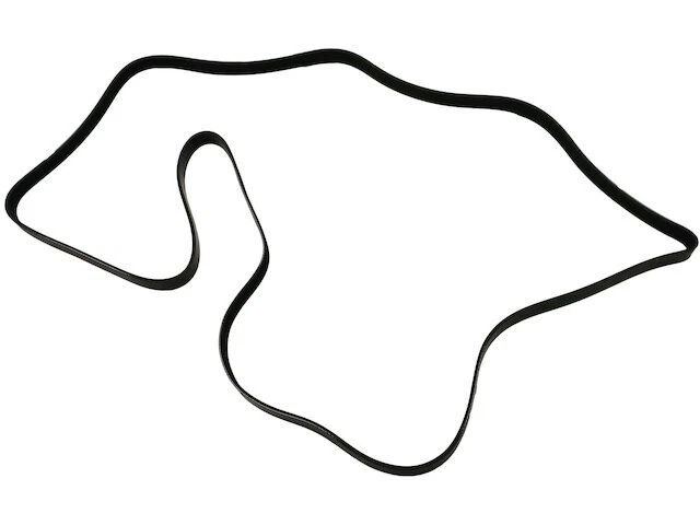 Cinturón multi costilla para Volvo S80 2007-2010 4,4 L V8 gas 2008 2009 SK513XG Foto 1 de 1