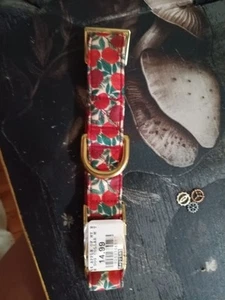 Medium Sz Red Flower/apples Dog Collar With Gold Trim - Picture 1 of 3