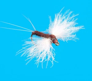 CDC Spinner, marrone scuro 6 pezzi. taglia 18 (CHIUDI) - Foto 1 di 1