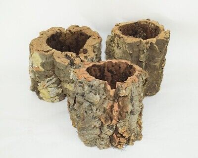 Korkeichentöpfe Korkeiche- Groß (10-12 Cm) Orchid Cork Oak Pots - Big (10-12 Cm) • 6€