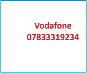 07833319234 Oro Vodafone Numero di Cellulare Pay as You Go Scheda SIM VIP - Foto 1 di 1