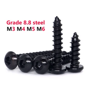 M3 M4 M5 M6 Button Head Socket Cap Self Tapping Screws Hex Drive Wood Screws 8.8 - Picture 1 of 4