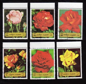 FUJEIRA - FLORA FLOWERS ROSES - Picture 1 of 1