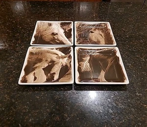 SET OF 4 Home Branded "UNBRANDED" WILD HORSES 8" Square Salad Plates - Picture 1 of 17