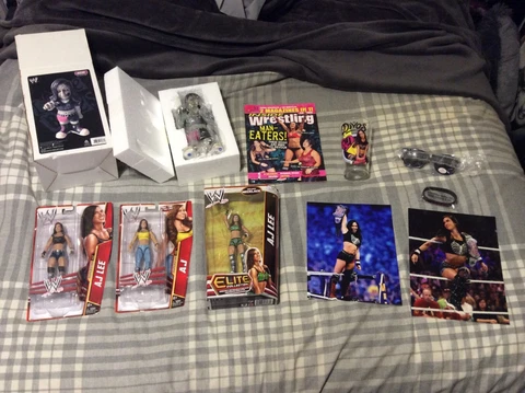 WWE AJ LEE LOT ZOMBIE BUST PINT GLASS FIGURES BRACELET GLASSES 8x10 PHOTOS MAG!! Cover