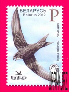 BELARUS 2012 Nature Fauna Bird of Year Black Swift 1v Mi 914 MNH - Picture 1 of 1