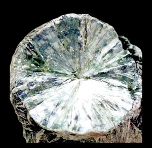 SERAPHINITE Natural Raw CLINOCHLORE Specimen Rough Crystal Cluster Mineral *RARE - Picture 1 of 10