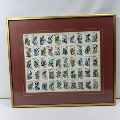 USPS STATE BIRDS & FLOWERS (50) 20 cent stamp sheet 1981-1982 FRAMED 14x12” - Image 1 of 4