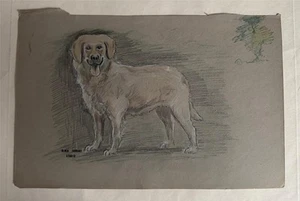 OLWEN TARRANT 1927-2012 ORIGINAL WATERCOLOUR & PASTEL LAB GOLDEN RETREIVER DOG - Picture 1 of 1