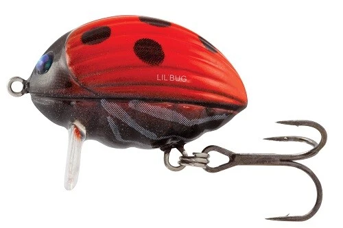 Wobbler Salmo Lil' Bug Schwimmend 2.5cm 2.8g LADYBIRD QBG008