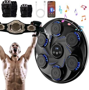 Music Boxing Machine, Smart Bluetooth Wall Boxing Punching Pad 9 modes w/Gloves - Picture 1 of 22