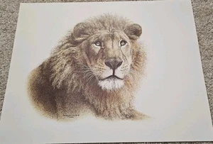 African Lion limited edition Watercolor Art Print Reagan Word 26" x 20" - Picture 1 of 10