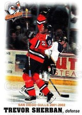 2001-02 San Diego Gulls #16 Trevor Sherban
