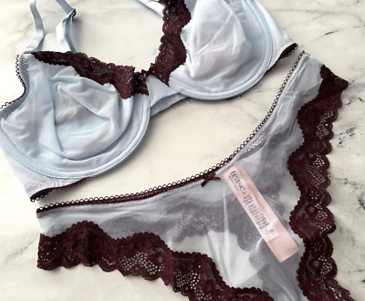 Victoria's Secret Nwt Tease Unlined Demi Bra High Leg Thong Sheer Mesh Blue Set - Image 1 of 4